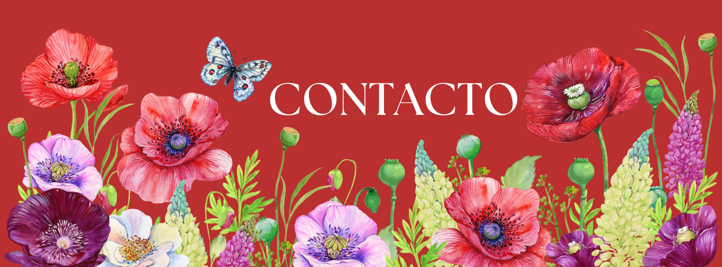 Imagen principal de la página de contacto